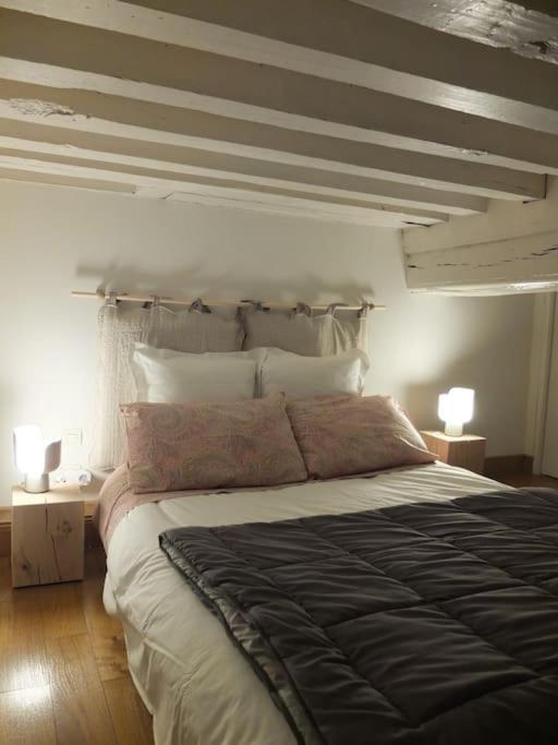 Charming Flat In Historical Centre Apartment Dijon Exterior foto